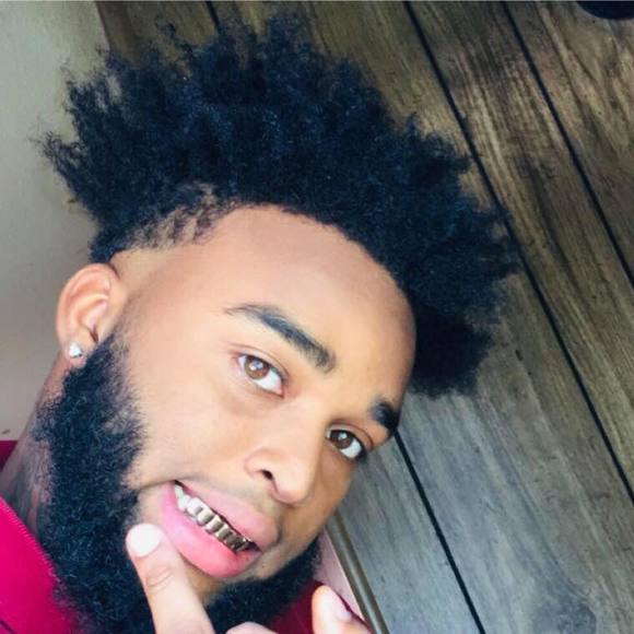 Meet your Posher, Bran - Picture 1 of 1